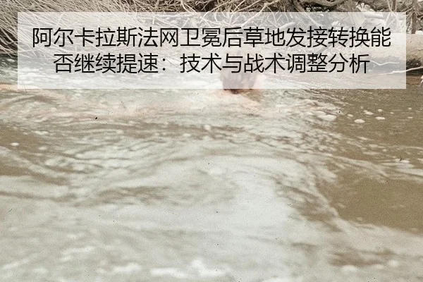 a-er-ka-la-si-fa-wang-wei-mian-hou-cao-di-fa-jie-zhuan-huan-neng-fou-ji-xu-ti-su-ji-shu-yu-zhan-shu-tiao-zheng-fen-xi-2-258.jpg