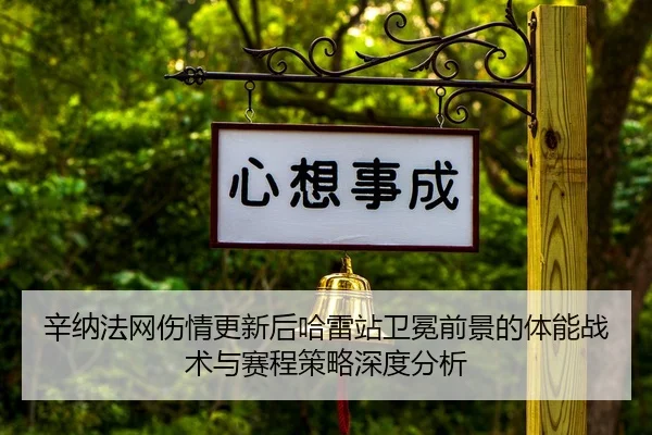xin-na-fa-wang-shang-qing-geng-xin-hou-ha-lei-zhan-wei-mian-qian-jing-de-ti-neng-zhan-shu-yu-sai-cheng-ce-lve-shen-du-2-470.jpg