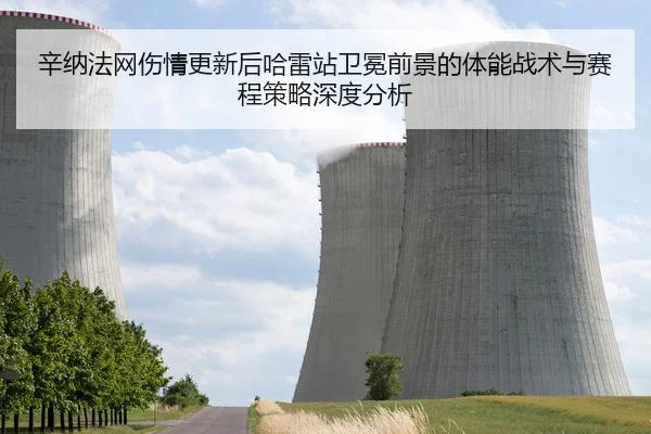 辛纳法网伤情更新后哈雷站卫冕前景的体能战术与赛程策略深度分析